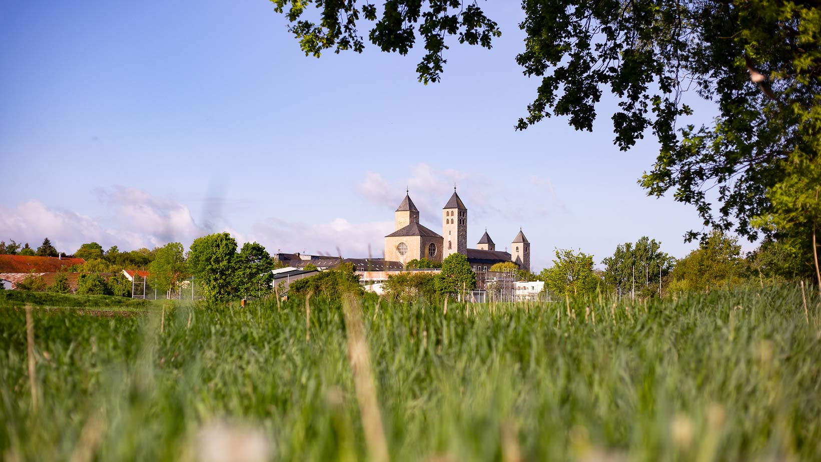 Blick von einer grünen Wiese auf die Abtei