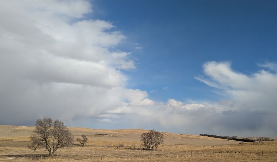 Landschaft mit blauen Himmel, Wolken, Bäumen und braunem Gras