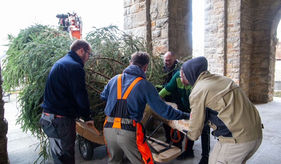 Gruppe von Männern transportiert einen Tannenbaum in die Kirche
