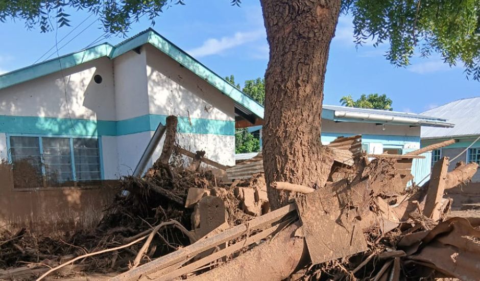 Baum mit Rückstanden der Überschwemmungen, die das Chaos aufzeigen