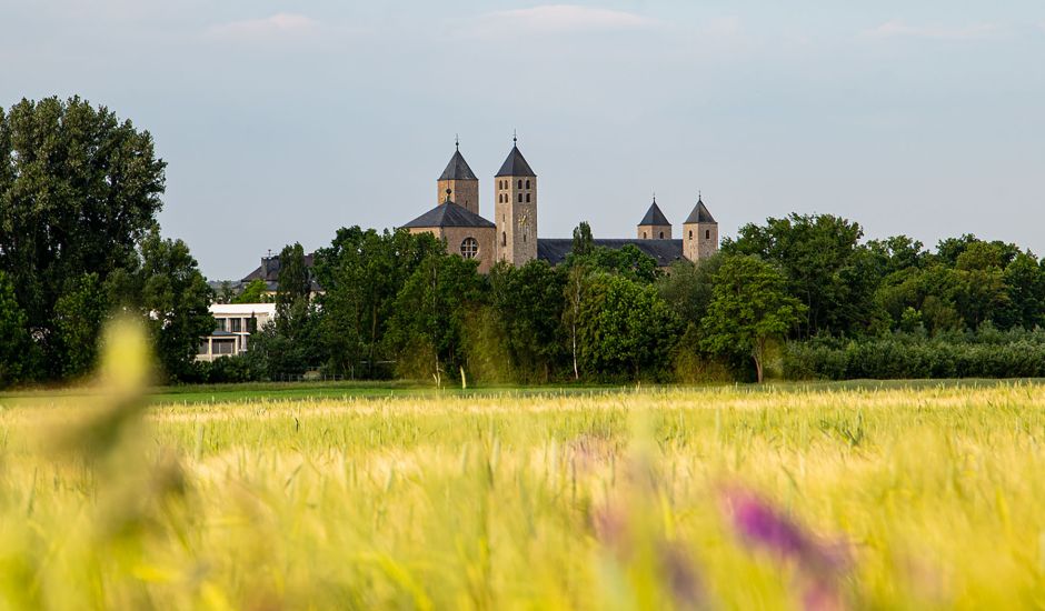 Blick über sonnengelbe Weizenfelder auf die Abtei mit ihren vier Türmen